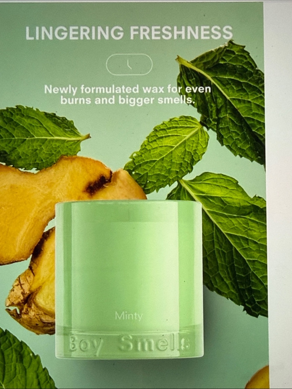 Boy Smells Candle  — Minty
